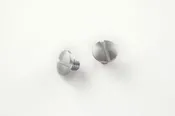 (2) Slotted Screws - Stainless