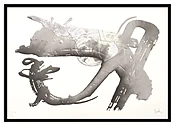 400214849202 - Morfología vegetal II' print by José Fuentes Esteve