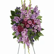 KF_T273-6A  Lavender Reflections Spray