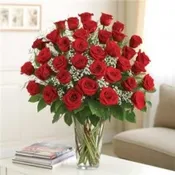 3 DOZEN ROSE VASE