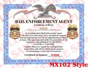 Bail Enforcement Agent Certificate