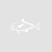 2" ULUA TRIBE CLEAR DECAL