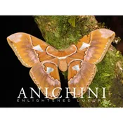 ANICHINI E-GIFT CARD ($1000)