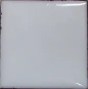 1010 Undercoat White