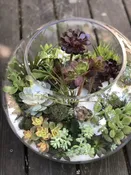 Easy To Love Terrariums