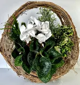 Plant arrangement in circle basket
