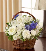 Blue & White Sympathy