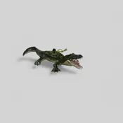 Alligator