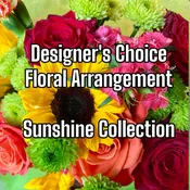 Designer’s Choice Sunshine Collection