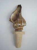 Shell Wine Stopper &bull; Rainbow Craft Company