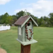 The Lovebird Getaway