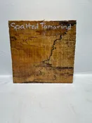 Spalted Tamarind 3-1/8” x 8-1/4” x 8-1/4”