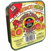 10-Oz Sunflower Suet Treat