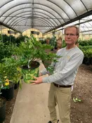 10″/3G Citrus Bush Limequat