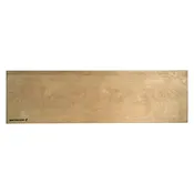 Back Board