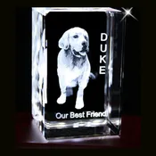 3D CRYSTAL OF YOUR PET  OR PERSON LASERED INSIDE CRYSTAL, SMALL AND LARGE AVAILABLE- Item# 3712