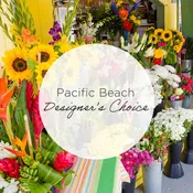 Pacific Beach Designer's Choice #1