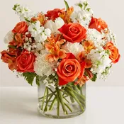 Luxury - Loving Sentiments Orange & White