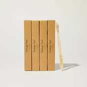 Adult Toothbrush - 4 pack