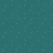 Kitty Litter Teal