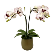 [RCS-Z-OROCD] Resin Round Container Small Bronze - Double Orchid Purple & White Artificial