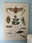 Textile Art Decor — The Coop Arts & Antiques