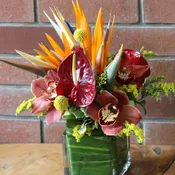 Tropical Arrangement Of The Week