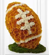 American™ Football Tribute