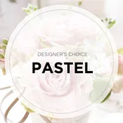 Designer's Choice - Pastel