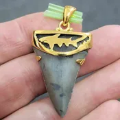 18K Gold Plated Cap Extinct Great White Tooth Necklace Pendant – EGWGLDCAP-1
