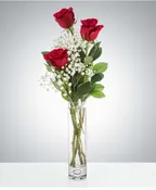 3 RED ROSES