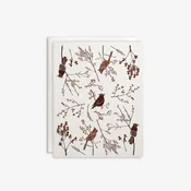 Birds + Berries Boxed Set