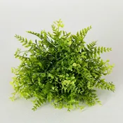 Fern & Lemon Grass Orb