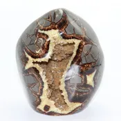 6.75 inch (7 lb.) Utah Septarian Standup Bevelback