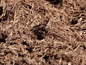 Cedar Mulch – Price / Cubic Yard