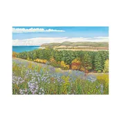 Asters at Port Oneida — Glen Arbor Artisans