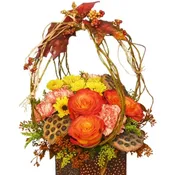 Fall Foliage