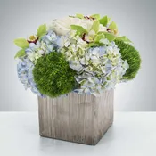 Sterling by BloomNation™
