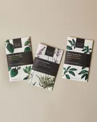 Eclat Chocolate for Longwood