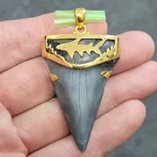 18K Gold Plated Cap Extinct Great White Tooth Necklace Pendant – EGWGLDCAP-11
