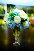 WHITE ELEGANCE