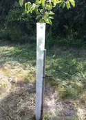 Miracle Tube Tree Grow Tube