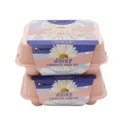 Daisy Grow Kit | Colorful Egg Carton (2 Pack)