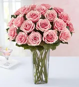 30 Stems of Blush Roses in Vase (With Babies Breath Added)