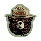 NOSO Retro Smokey Bear x Noso Patch