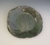 Mexican fan palm server