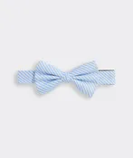 Boys' Vineyard Seersucker Printed Bow Tie