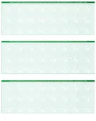 Blank 3 on Page Laser Checks