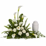 Stately Lilies