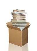 Book Box (Large) — dogtown books